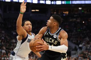 在国内的绿 在国内的绿